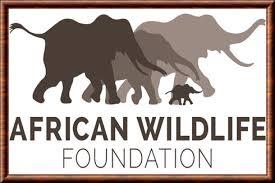 African Wildlife Foundation logo