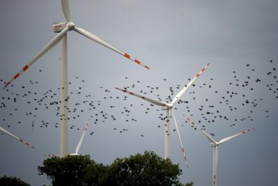 wind turbine with birds