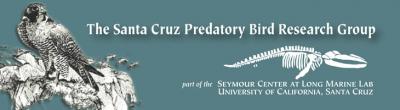 Predatory Bird Research Group logo