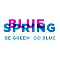 Bluespring logo