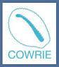 Collaborative Offshore Wind Research into the Environment (COWRIE) logo