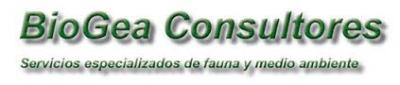 Biogea Consultores logo