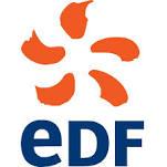 Électricité de France (EDF) logo