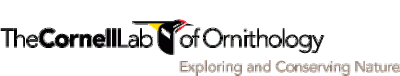 Cornell Laboratory of Ornithology logo