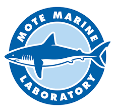 A shark with the words Mote Marine Laboratory written around it