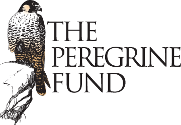 The Peregrine Fund logo