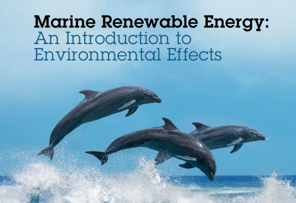 Marine Energy Brochure