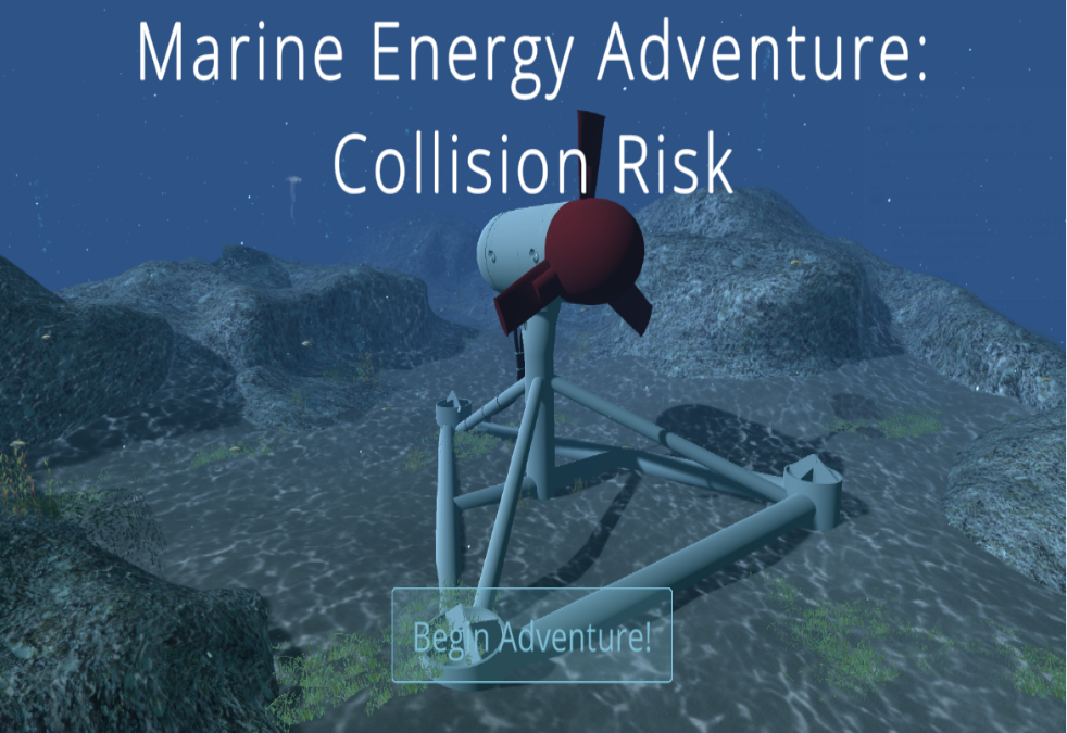 Collision Risk Video Game