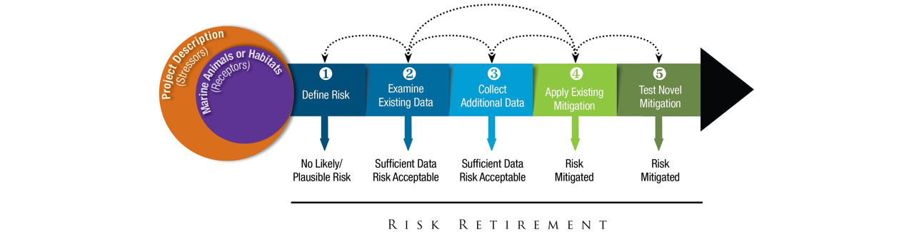 Risk Retirement Pathway