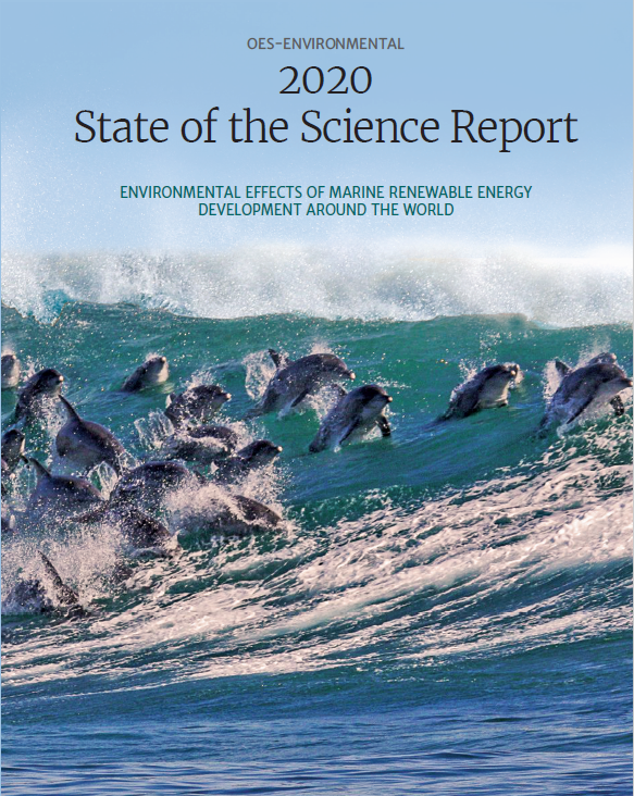 OES-Environmental 2020 State of the Science