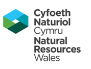 Cyfoeth Naturiol Cymru - Natural Resources Wales - Logo