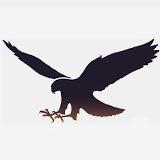 Wingspan National Bird of Prey Centre logo