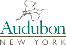 Audubon New York Logo