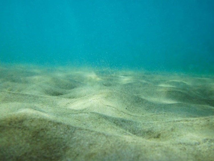 Sandy seafloor
