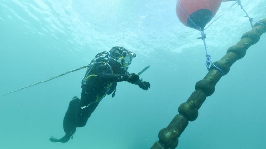 Diver next to draped cable.
