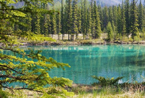 Unnamed lake in Yoho National Park in Alberta, Canada