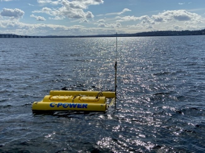 C Power's SeaRay in Lake Washington